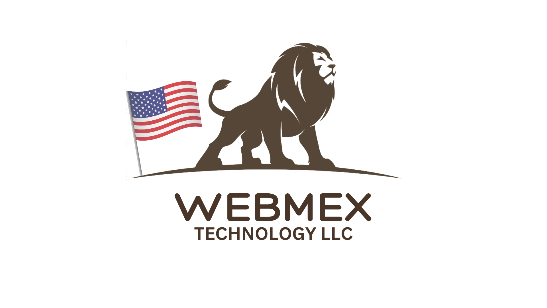 Webmex Technology LLC